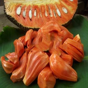 Jack Fruit Red