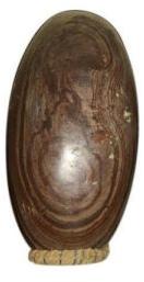 narmada stone shivling