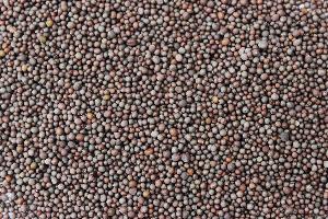 Black Mustard Seeds