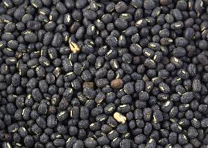 Black Urad Dal