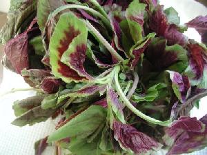 Fresh Amaranth Leaves (Mulaikeera)