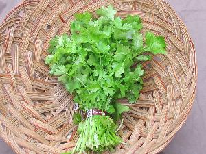 Fresh Coriander Leaves (Kothamalli)