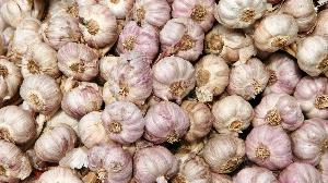 Fresh Garlic (Poondu)