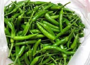 Fresh Green Chilli (Pachai Milagai)