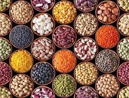 Indian Pulses