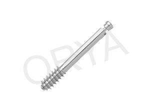 DHS Leg Bone Screws