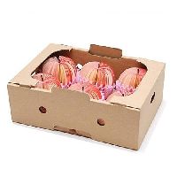 Fruits Packaging Box