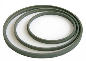 PTFE Seal