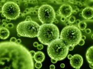 Microbial Disinfection