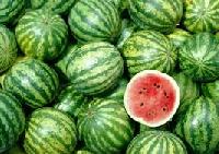 Fresh Watermelon