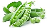 Green Peas