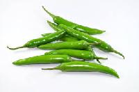 Fresh Green Chilli