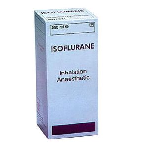 Isoflurane Liquid