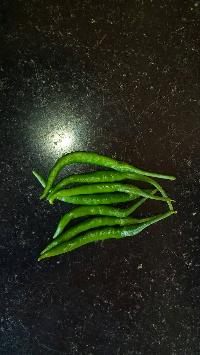 G4 green chilli