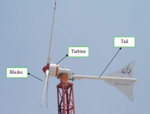 Wind Turbine