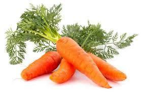 Fresh Carrot