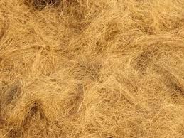 Coir Fibre