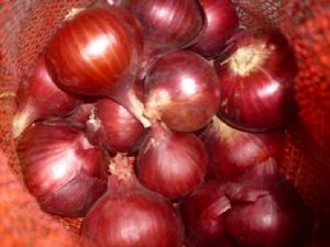 Red Onion