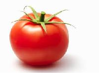 Fresh Tomato