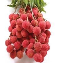 Litchi