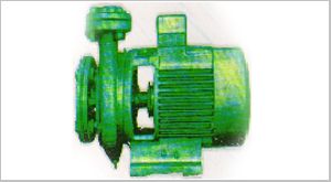 Beacon Monobloc Pump