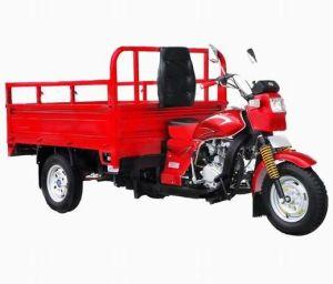 Cargo Three Wheeler