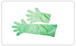 Disposable Plastic Gloves