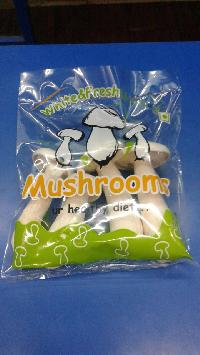 milk mushrooms