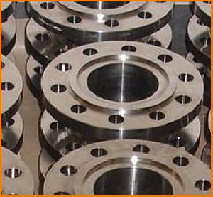 Titanium Flanges