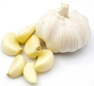 Fresh Garlic