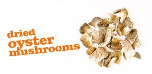 Dried Oyster Mushroom