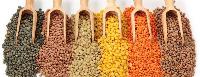 Indian Pulses