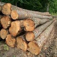 Mango Wood Logs