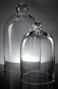 Glass Bell Jar