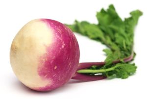 Fresh Turnip