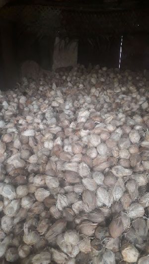 Dry Coconut