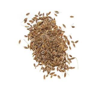 Dill Herbal Seeds