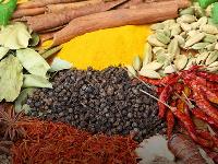 Indian spices