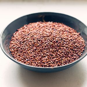 red quinoa