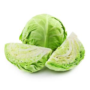 Fresh Cabbage