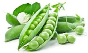 Fresh Green Peas