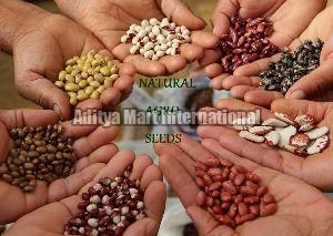 NATURAL AGRO SEEDS
