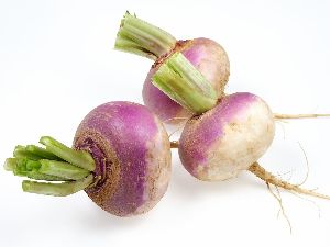 Fresh Turnips