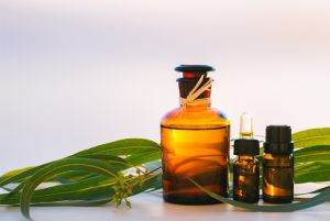 Eucalyptus Oil