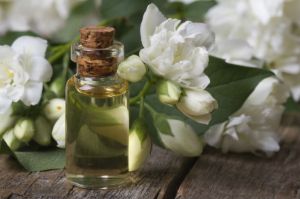 Jasmine Oil