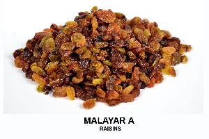Malayar A Raisins