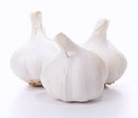 White Garlic