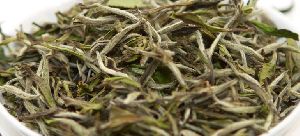 White Tea Leaves