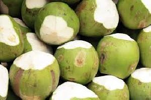 Tender Coconuts