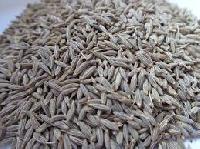 Cumin Seed